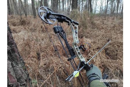 kit arc à poulies de chasse - compound kit complet - chasse à l'arc