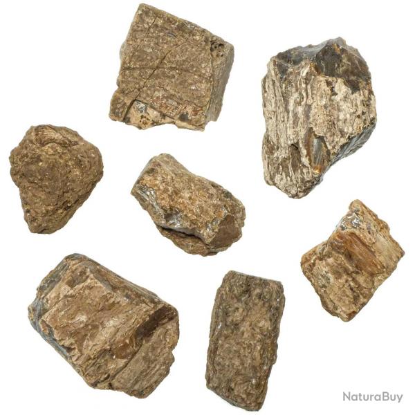 Pierres brutes ambre d'indonsie - 3  8 cm - Lot de 3