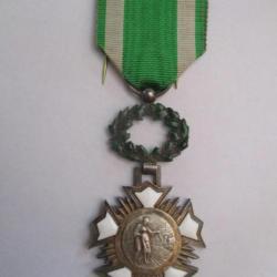 Médaille Académie d'Intérêt Public