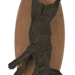 Trophée lièvre nature morte en bronze