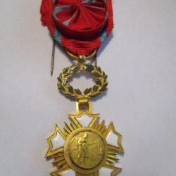médaille avec rosette Académie d'Intérêt Public