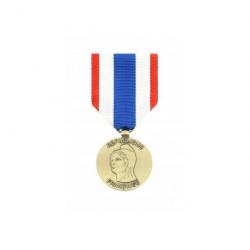 Médaille Protection militaire du Territoire