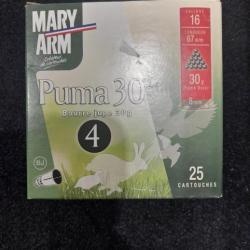 LOT DE 175 CARTOUCHES MARY ARM PUMA 30 CAL16 PLOMBS 4