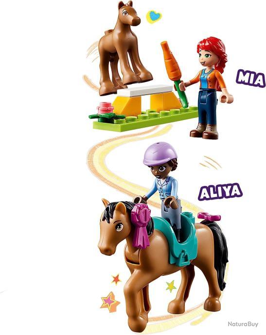 LEGO Friends Le Dressage Équestre, Jouet de Chevaux et Poney avec  Mini-Poupées Aliya et Mia - Jouets (10639856)