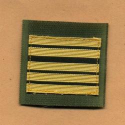 Galon de combat  -  grade de colonel  (galons blancs)