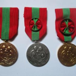 Lot de médailles Famille Française depuis 1983