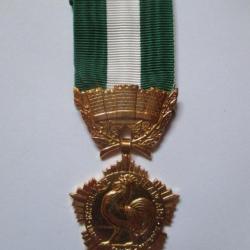 Médaille Collectivités Locales 1991