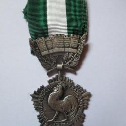 Médaille Collectivités Locales argent