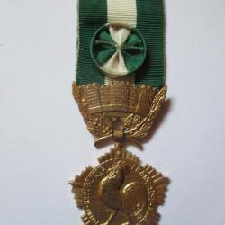 Médaille Collectivités Locales Vermeil