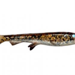 Leurre Souple Wolfcreek Lures Shad 2.0 25cm 120g 25cm C074 Real Burbot