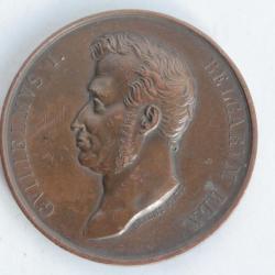 Médaille Guillaume Ier Belgique 1826