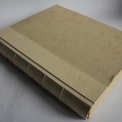 Livre Entre Clémence et Collavine Chroniques Genevoises Buenzod Perret