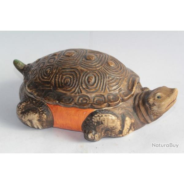 Carole Stupell Boite Tortue cramique
