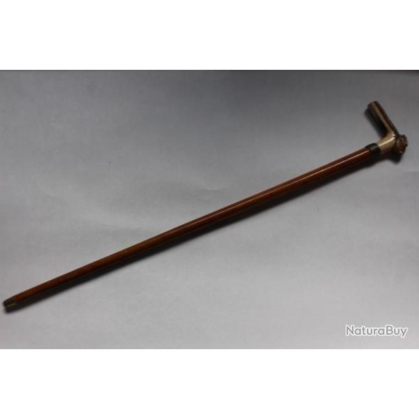 Ancienne canne bois de cerf chien bouledogue