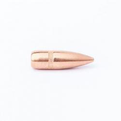 OGIVES CAMPRO 222/223 55gr FMJ BT x500