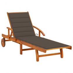 Transat chaise longue bain de soleil lit de jardin terrasse meuble d'extérieur avec coussin bois d'