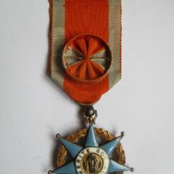 Médaille du Mérite Social bronze doré