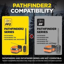PROMO PATHFINDER 2 DOGTRA centrale + collier