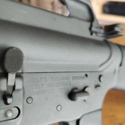 Colt M16A1 neutralisé