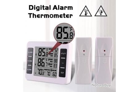 Thermomètre numérique intérieur/extérieur