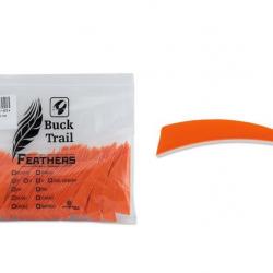 Lot de 100 plumes Buck Trail Shield LW 3 pouces couleur unie Orange