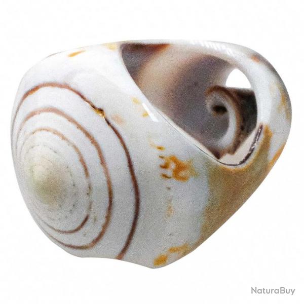 Bague coquillage conus blanc et beige 54