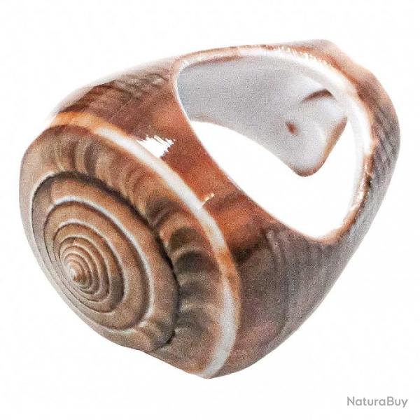 Bague coquillage conus marron 54