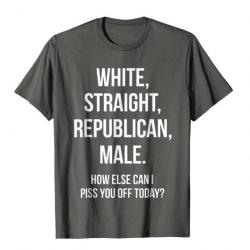 T-shirt humoristique "WHITE, STRAIGHT, REPUBLICAN, MALE." - Gris