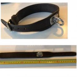 Collier en cuir pour chien