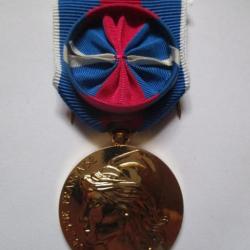 médaille Services Militaires Volontaires (3)