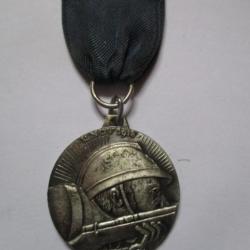 Médaille Hommage 11 Novembre 1918-1968 (7)