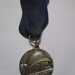 Médaille Hommage 11 Novembre 1918-1968 (8)