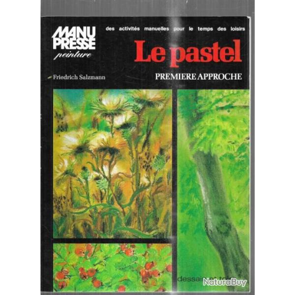 le pastel premire approche de friedrich salzmann manu presse peinture