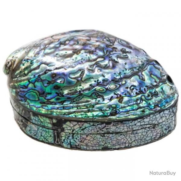 Boite  bijoux avec coquillage haliotis abalone paua