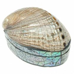 Boite à bijoux avec haliotis nacré et plaquage abalone paua