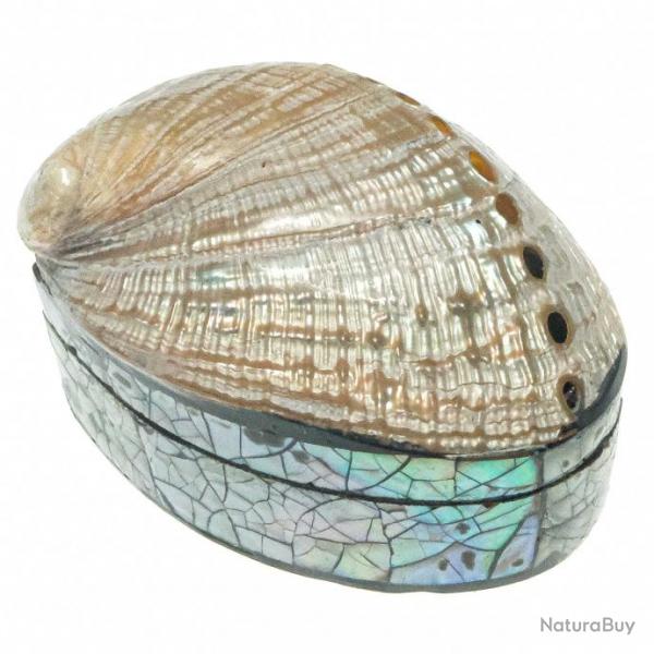 Boite  bijoux avec haliotis nacr et plaquage abalone paua