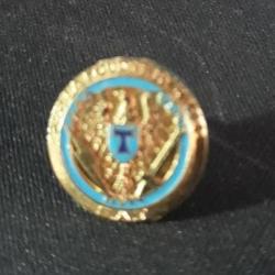 Pin's Militaire Eat Par La Foudre Et L'épée Zamac Ref 611b