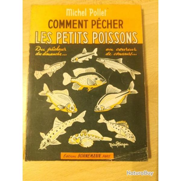 Comment Pecher Les Petit Poissons... Par Pollet Michel