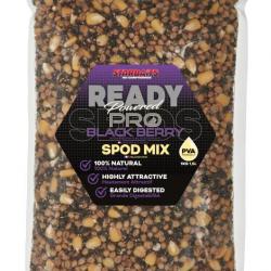 Mélange de Graine Starbaits Probiotic Ready Seeds Blackberry Spod Mix 1KG