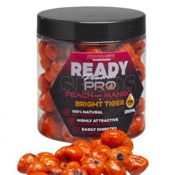 Noix Tigré Starbaits Probiotic Ready Seeds Pro Bright Tiger Peach Mango