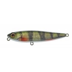 Leurre Surface Illex Chubby Pencil 55 RT Perch