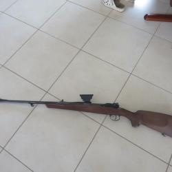 carabine de chasse
