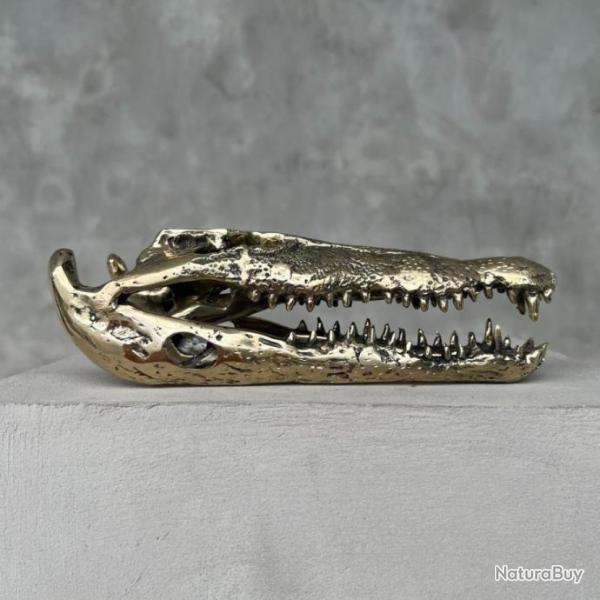 Crne de crocodile d'eau sale faonn en bronze - Crocodylus porosus