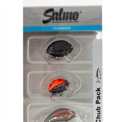 Kit Poisson Nageur Salmo Chub
