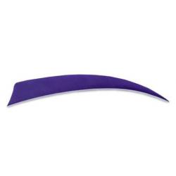 BUCK TRAIL - Plumes Naturelles Shield 5" RH VIOLET