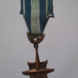 médaille  Air Force Distinguished (1)