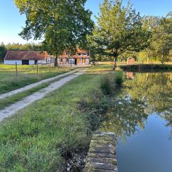 CHASSE PALOMBE SOLOGNE