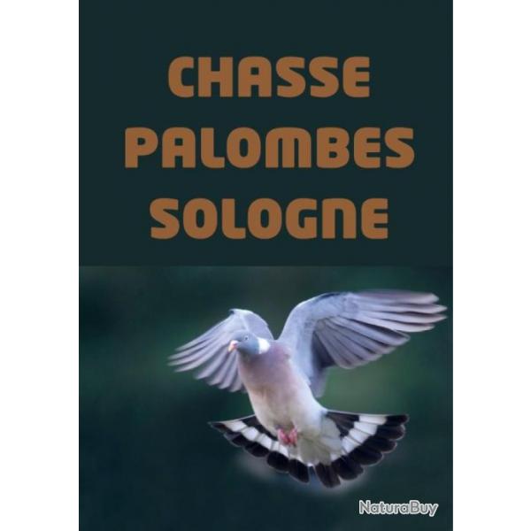 CHASSE PALOMBE SOLOGNE