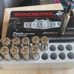 12 balles Winchester Accubond CT
