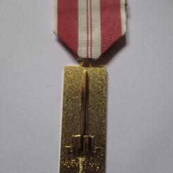 médaille Army Training Service